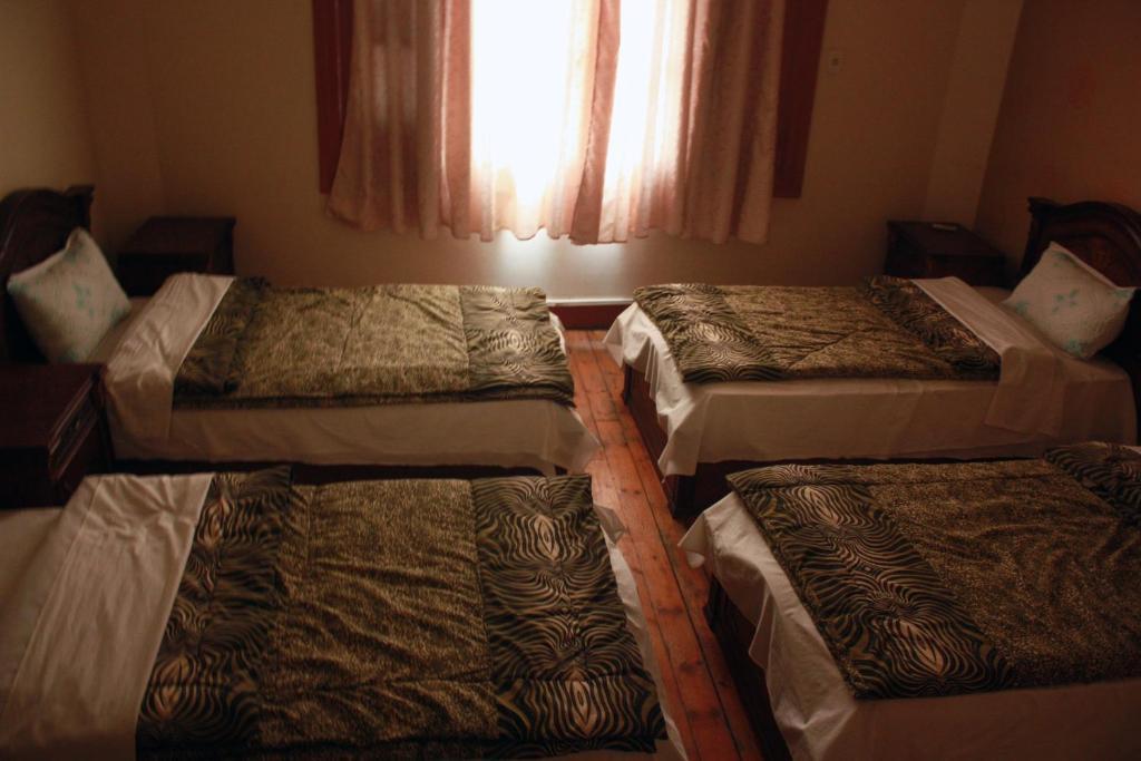 Hola Cairo Hostel Extérieur photo